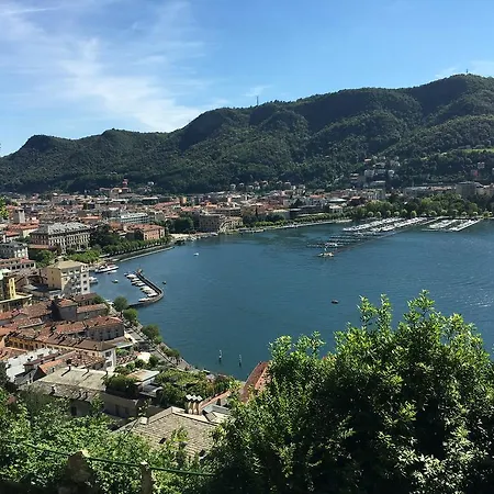 Giulini